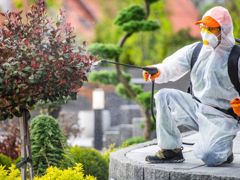 Kozlu Haşere İlaçlama